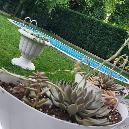 Sarayli Villa *