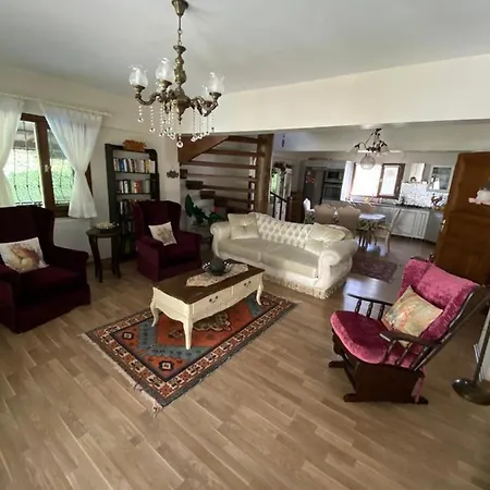 Sarayli Villa