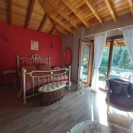 Villa Sarayli Sapanca