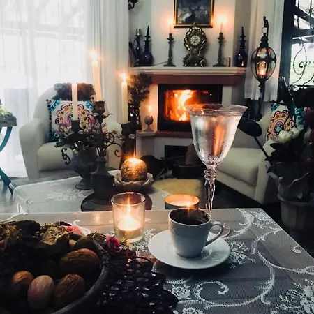 Villa Sarayli *