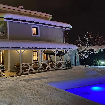Sarayli
