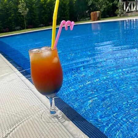 Villa Sarayli *