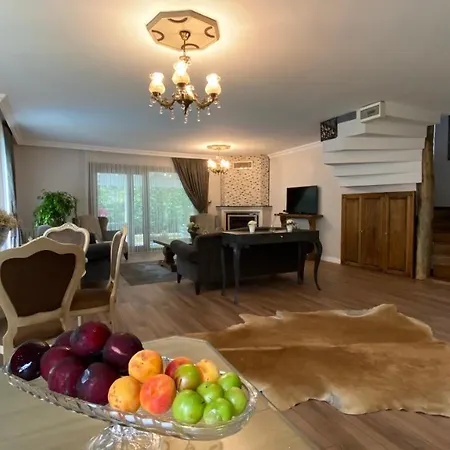 Sarayli Villa Sapanca